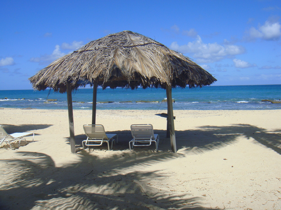 Green Cay-圣克鲁斯必去景点