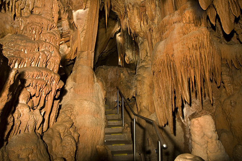 Mole Creek Caves-茉莉溪必去景点