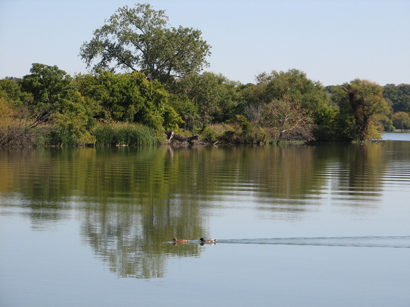 白岩湖公园-达拉斯必去景点