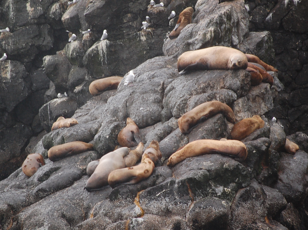 基奈峡湾巡航之旅-苏厄德必去景点