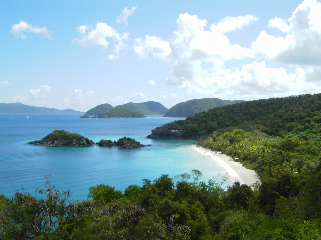 象鼻湾-维尔京群岛国家公园必去景点