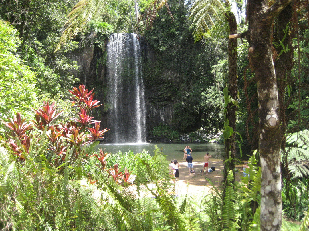 Bandicoot Bicycle Tours-Holloways Beach必去景点