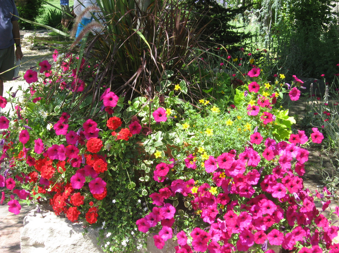 Idaho Botanical Garden-博伊西必去景点