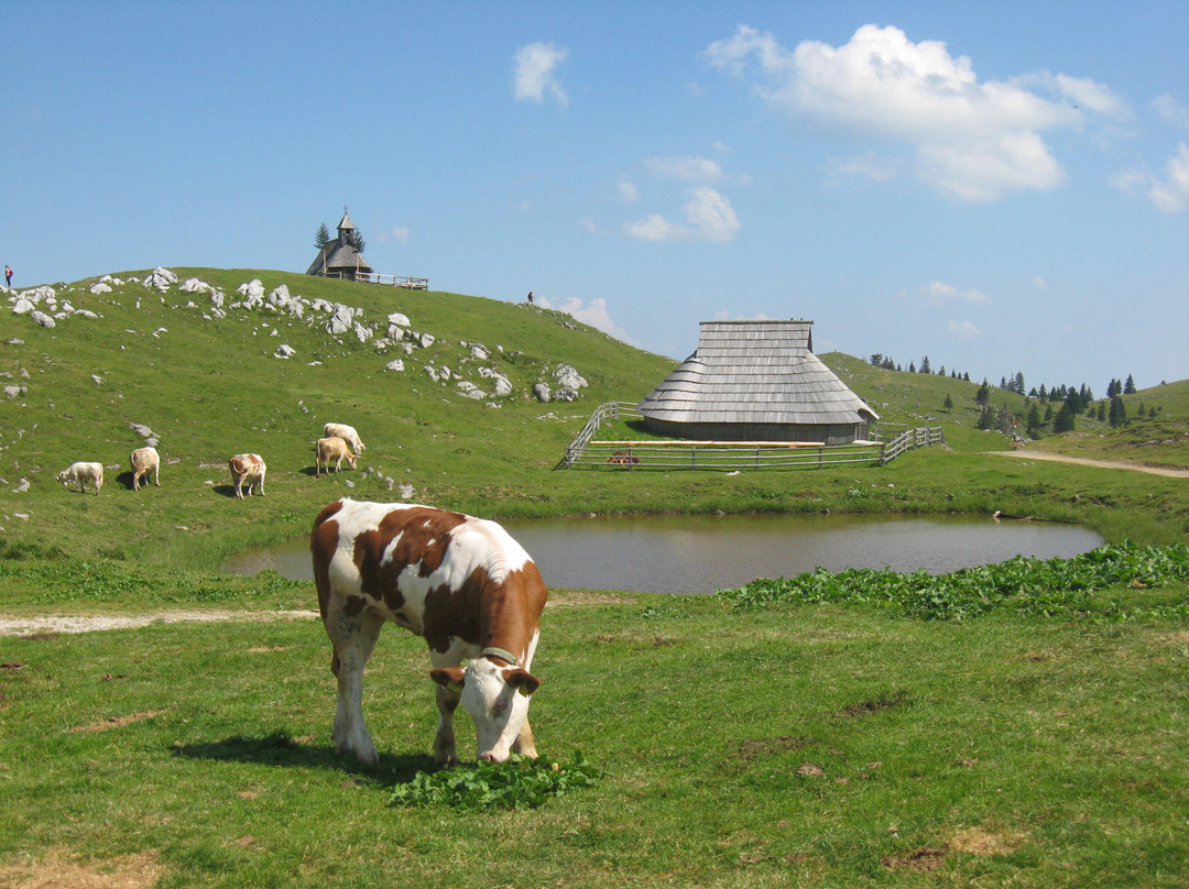 Velika Planina-Stahovica必去景点