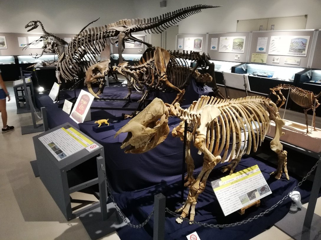 Mikasa City Museum-三笠市必去景点