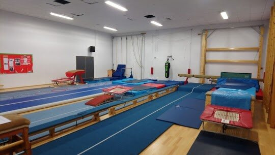 Swan Gymnastics Academy景点图片
