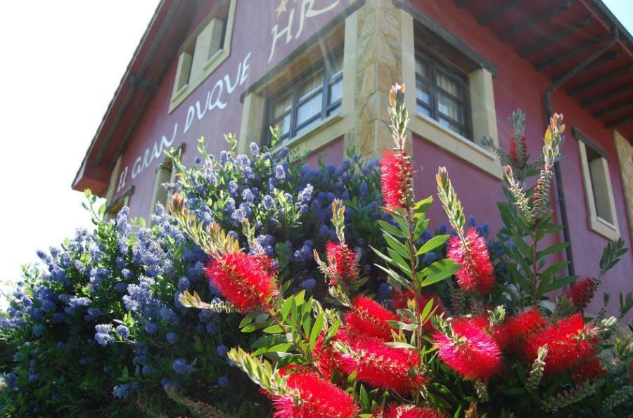 Hotel Rural Elgran Duque-客卧