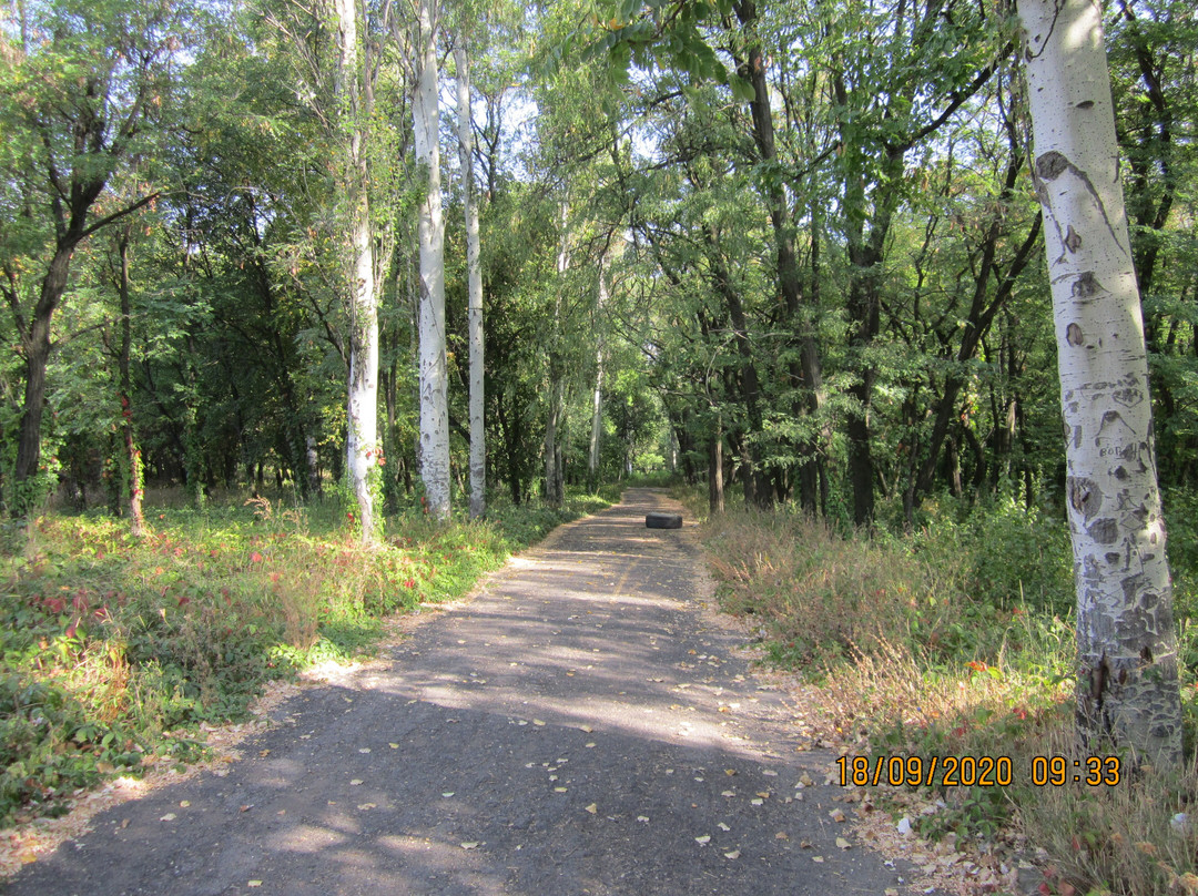 Park Yubileinyi