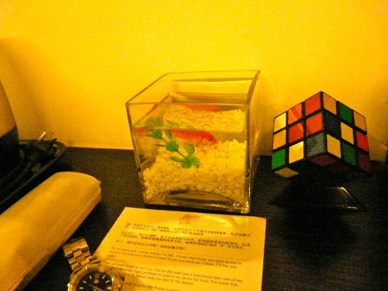 北京桔子酒店官园桥店主图