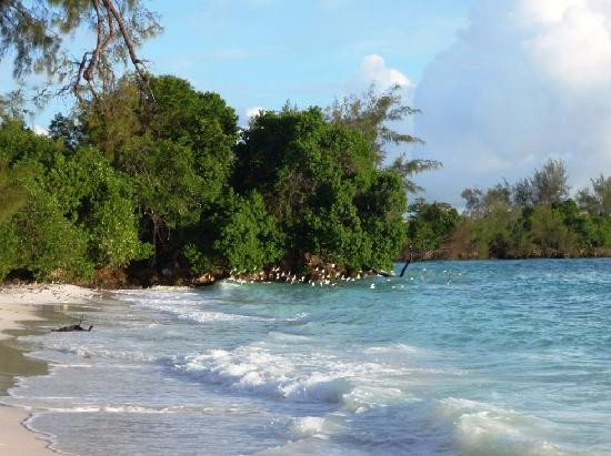 Pemba Island-奔巴岛必去景点