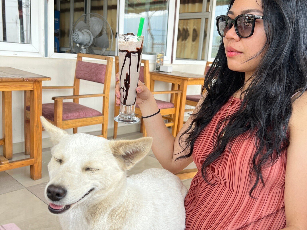 Annapurna Cable Car-博卡拉必去景点