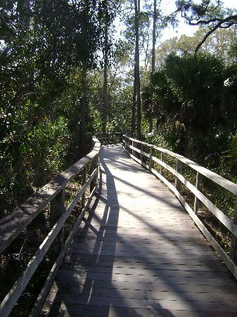 螺旋沼泽鸟兽禁猎区-那不勒斯必去景点