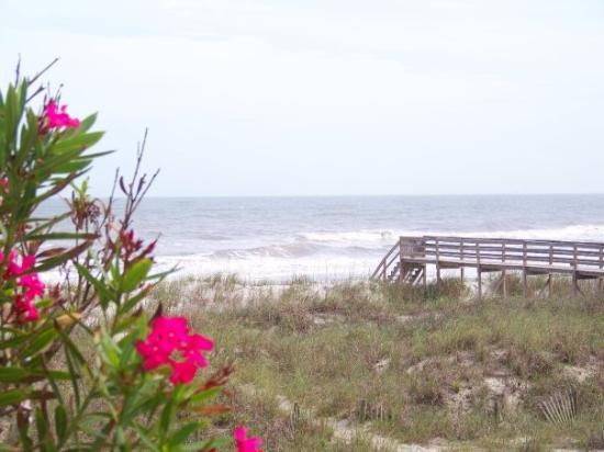Folly Beach Public Beach景点图片