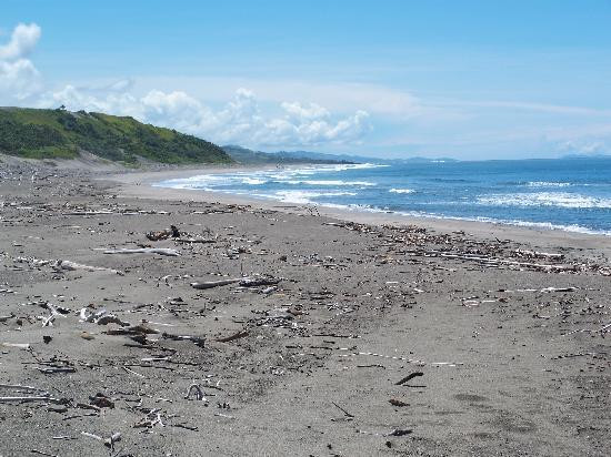 Sigatoka Sand Dunes National Park景点图片