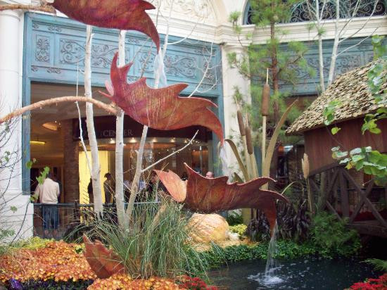 贝拉吉欧温室植物园-拉斯维加斯必去景点