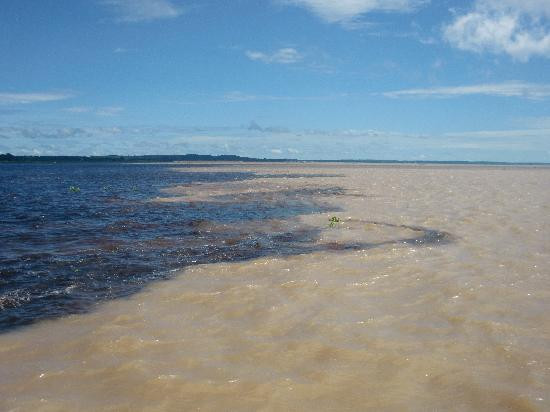 Amazon Amazing Tours-玛瑙斯必去景点