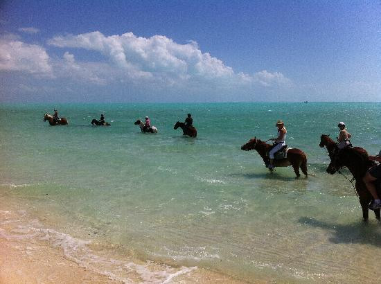 Provo Ponies-Long Bay Hills必去景点