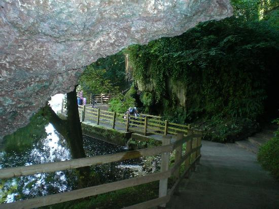Mother Shipton's Cave景点图片