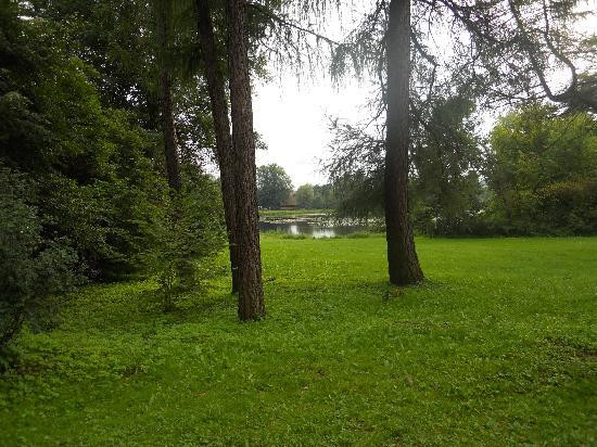 Bialowieza National Park Tours景点图片