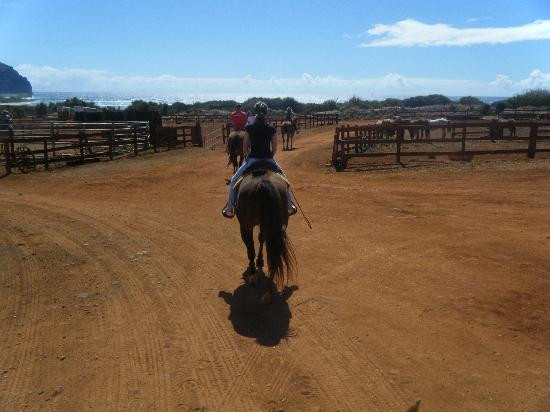 CJM Country Stables-可洛亚必去景点