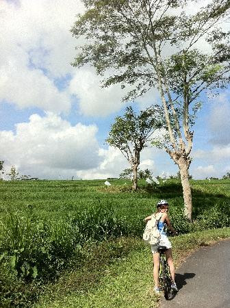 Halo Bike Cycling Tour-吉安雅必去景点