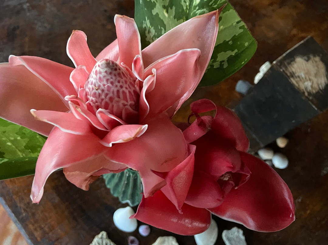 Hotel Banana Azul主图