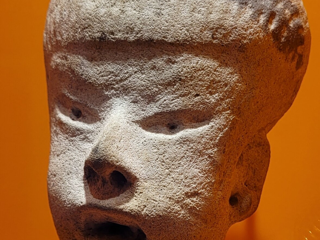 Museo Regional de Antropologia Carlos Pellicer Camara景点图片