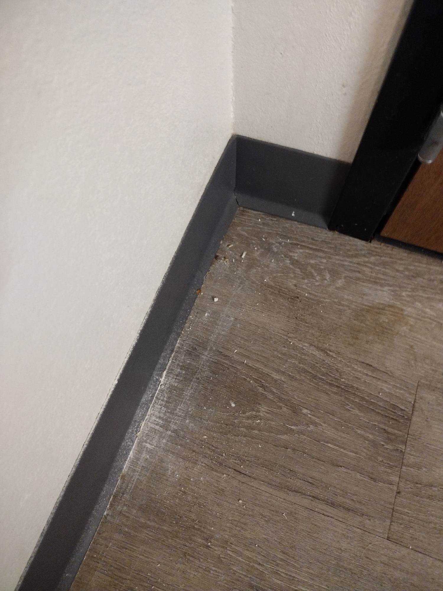 Everhome Suites Corona-客卧