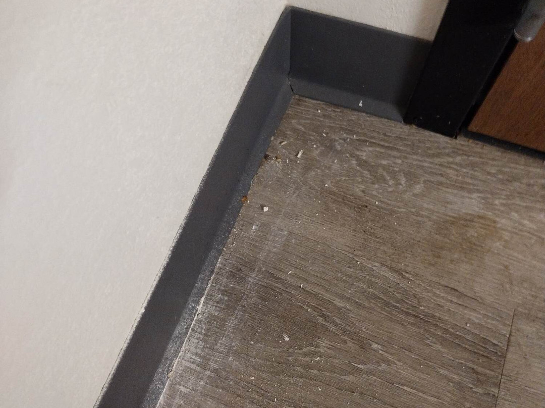 Everhome Suites Corona主图