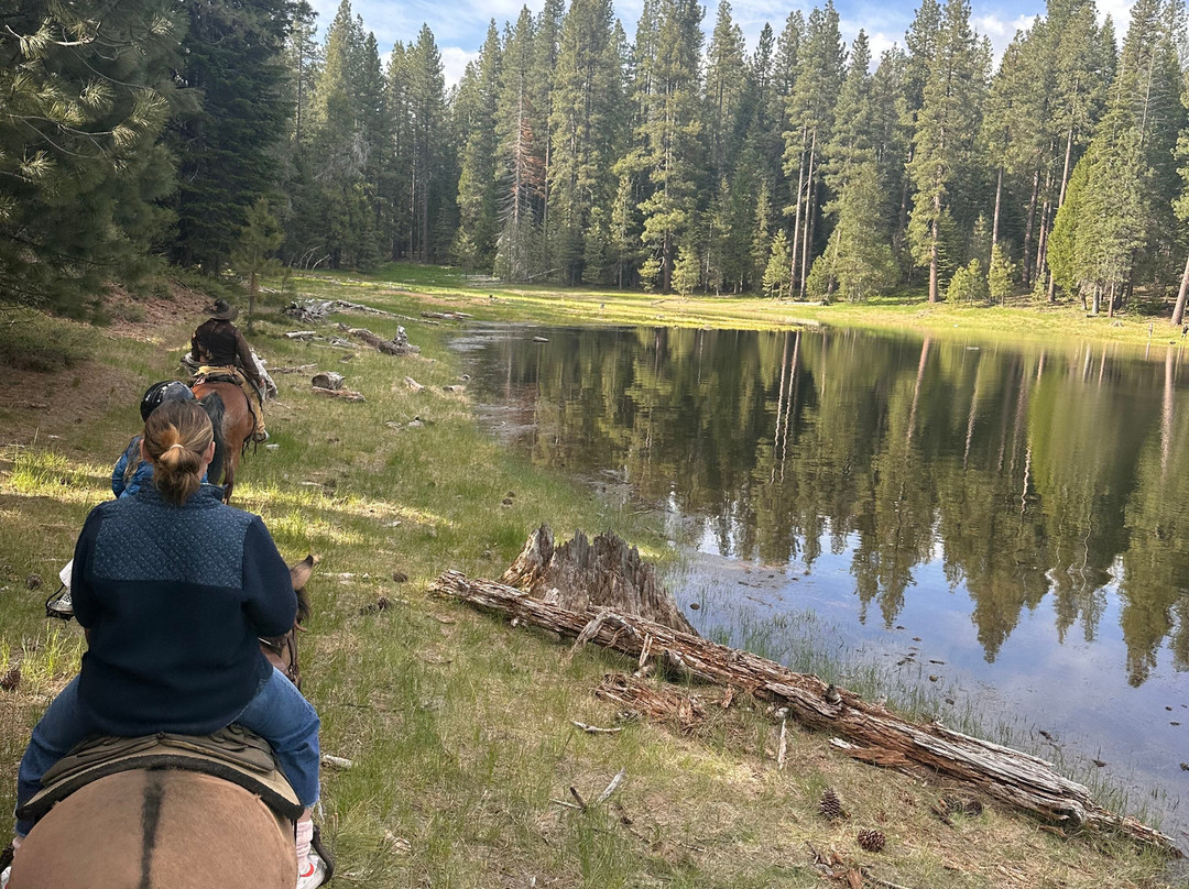 Shaver Stable-Shaver Lake必去景点