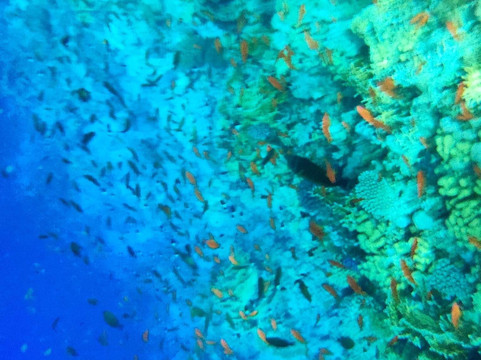 Sun Pyramids Multi-Day Tours-沙姆沙伊赫必去景点