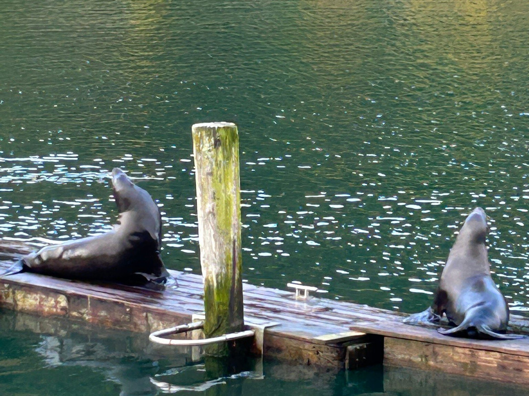 Harbor Lite Lodge主图