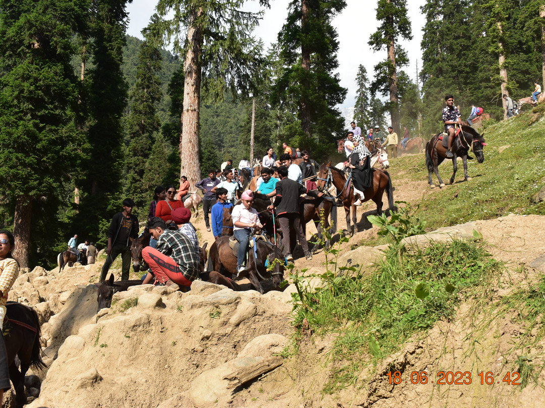 Baisaran-Anantnag District必去景点