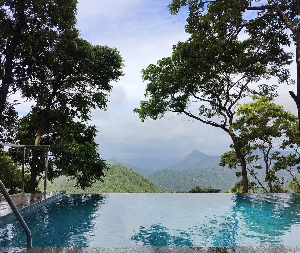 Elephant Passage Resort Munnar主图