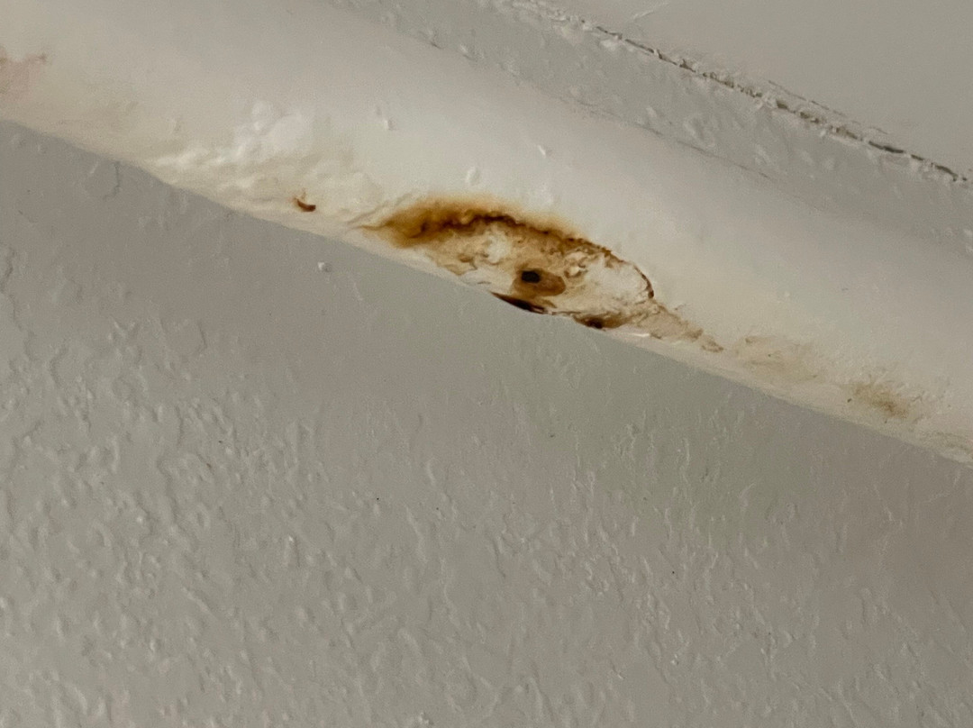 Baymont by Wyndham Logan主图