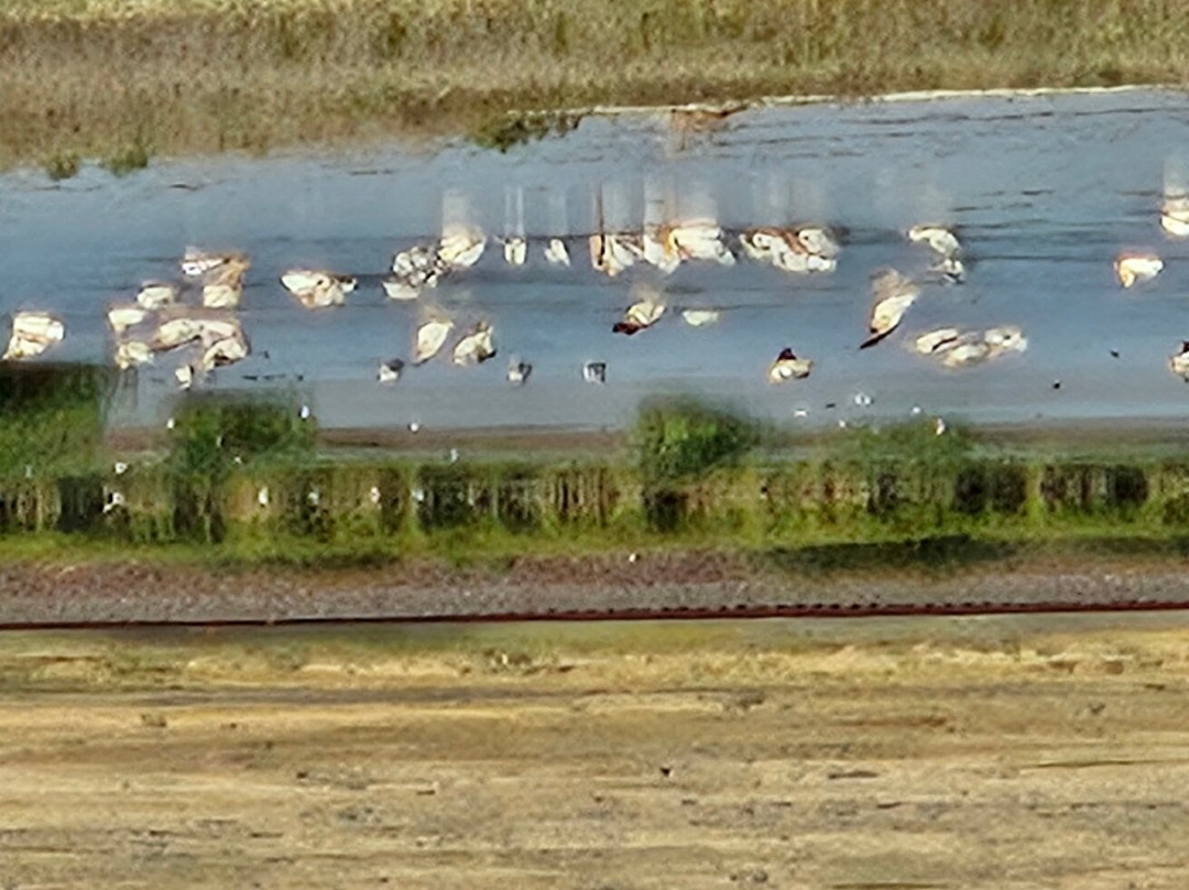 Bowdoin National Wildlife Refuge-Malta必去景点