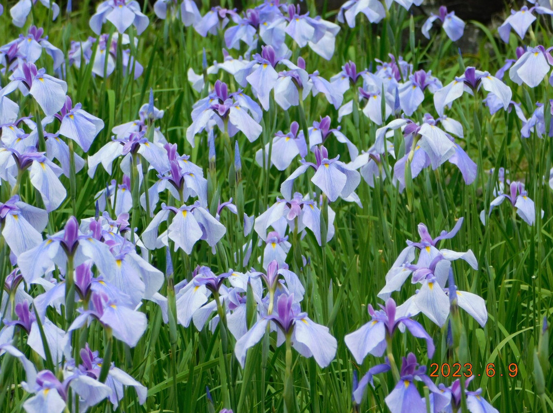 Yamadaike Park-枚方市必去景点
