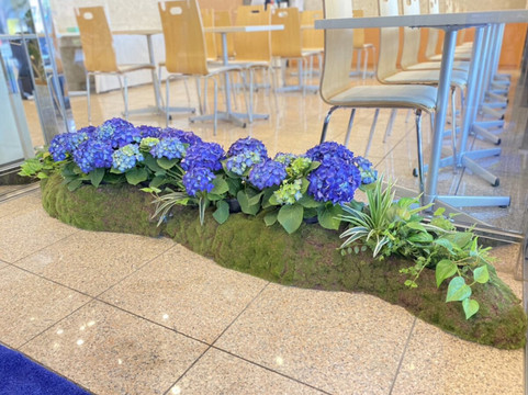 五条乌丸东横Inn酒店主图