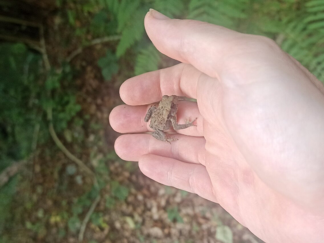 Itarinatura-Orbaizeta必去景点