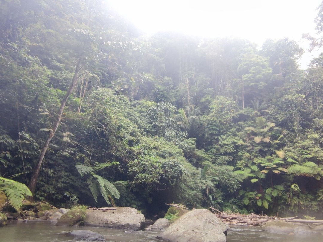 Rafting Ubud Bali-乌布必去景点