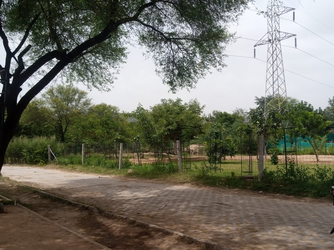 Elephant Fun Park-斋蒲尔必去景点