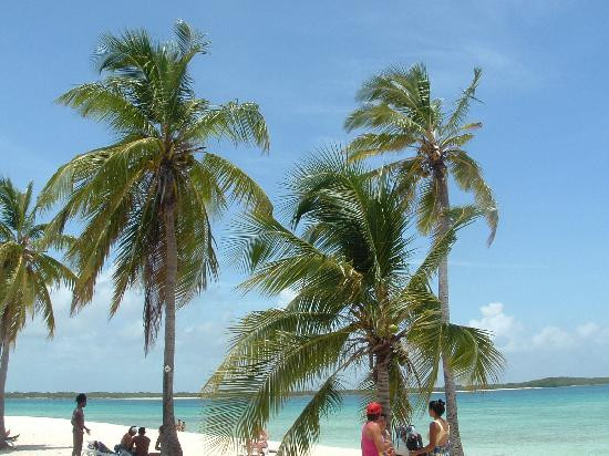 Coco Beach景点图片