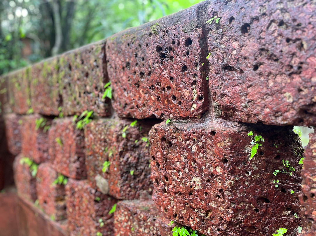 Whistling Woods Amboli主图