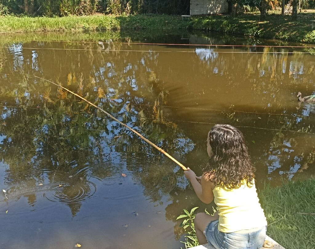 Hotel Bosques do Massaguacu主图
