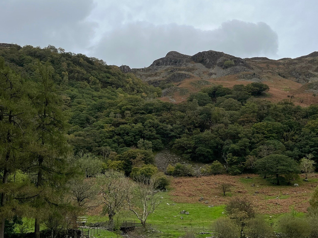 The Langstrath Country Inn主图