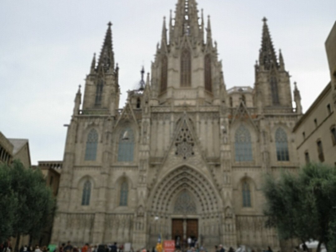 In Out Barcelona Tours景点图片
