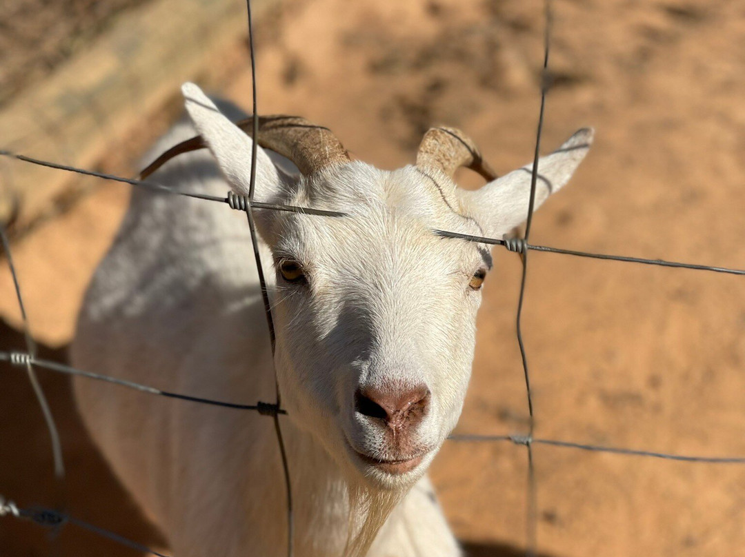 Hill Top Berry Farm & Winery-Nellysford必去景点