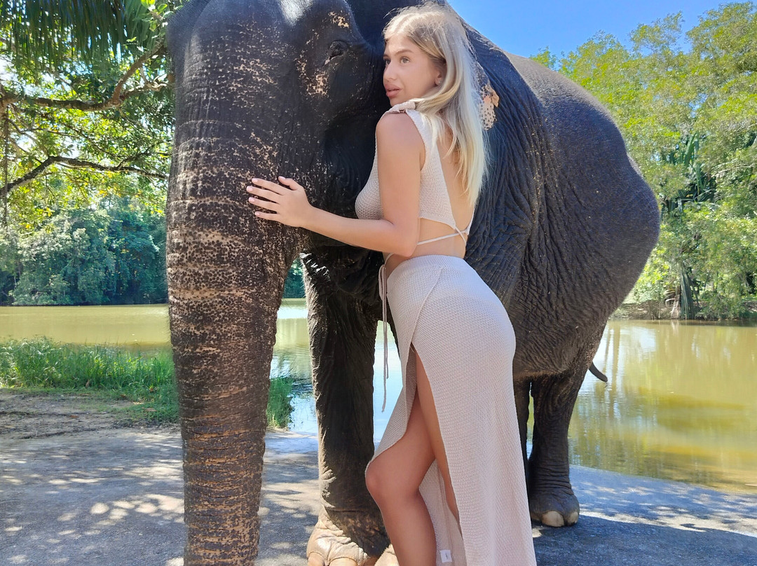 Supaporn Elephant Camp景点图片