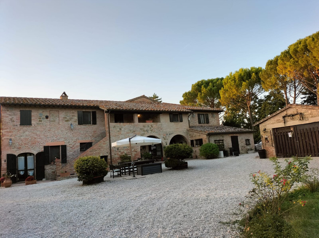 Antica Fattoria del Colle主图