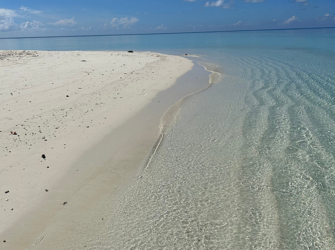 Turtle Maldives主图